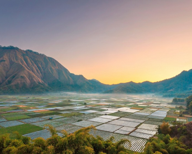 Trip Wisata Sembalun